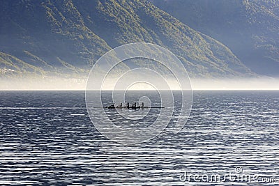 Rowers training on the waters of Lake Geneva Editorial Stock Photo