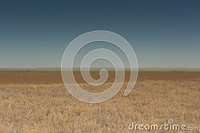 Rowing boats in the reeds. Wooden boat on the grassy shore of the Aral sea on a summer day Editorial Stock Photo