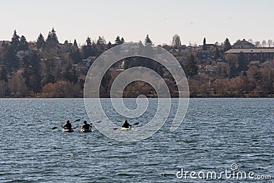 Rowing at Greenlake Editorial Stock Photo