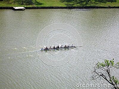 Rowing Team Practice Stock Photo