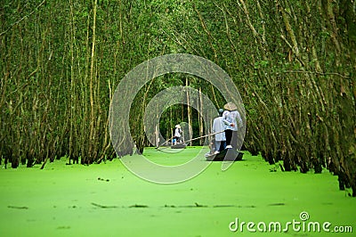 Rowing to Tra Su cajuput forest Editorial Stock Photo