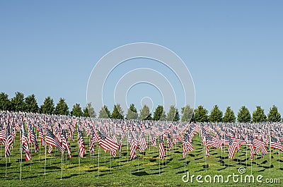 Hundreds of American Flags stand Art Hill in Forest Park, St. Louis, Missouri Stock Photo