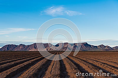 Rows of bare plowed earth in perspective to distant mountains Stock Photo