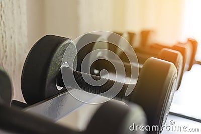 Rows of black dumbbell set on rack in the gym. Health care concept Stock Photo