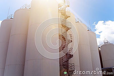 Rows of brewing tanks against the sky. Industrial beer production Stock Photo