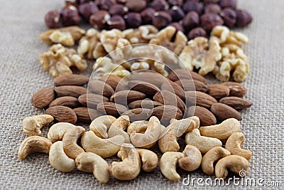 Rows of cashew nuts, almonds, walnuts and hazelnuts on a burlap fabric. Selective focus on cashews. Stock Photo