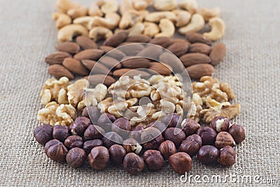 Rows of cashew nuts, almonds, walnuts and hazelnuts on a burlap fabric. Selective focus on hazelnuts. Stock Photo