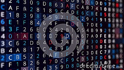 Rows of changing symbols, hacking a password on black background, seamless loop. Animation. Abstract moving random Stock Photo