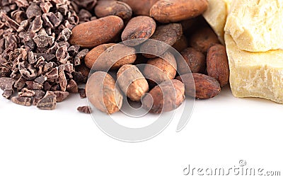 Rows of Chocolate Nibs Cocoa Beans and Cocoa Butter on a White Background Stock Photo
