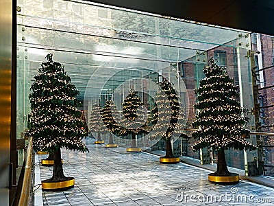 Christmas Tree Decorations in Glass Enclosed Walkway Stock Photo