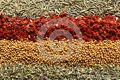 Rows of different aromatic spices as background Stock Photo