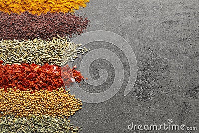 Rows of different aromatic spices on gray background, space for text Stock Photo