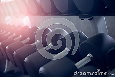 Rows of dumbbell in the gym, sport and health, weight training equipment concept Stock Photo