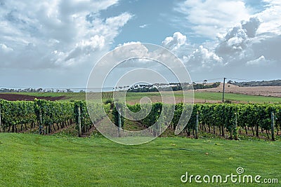 Ghost Rock Vineyard in New Zealand Stock Photo