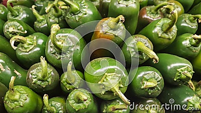 Pile of green hot Jalapeno peppers Stock Photo
