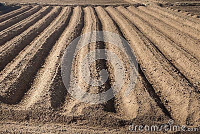 Rows pattern in a plowed field Stock Photo