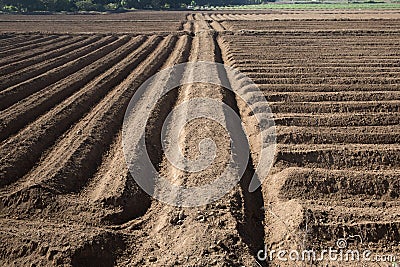 Rows pattern in a plowed field Stock Photo