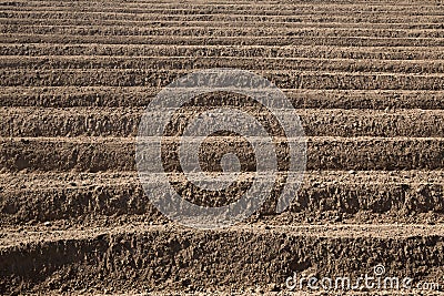 Rows pattern in a plowed field Stock Photo