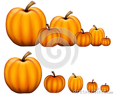 Rows of Pumpkins Cartoon Illustration