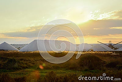 Rows of Pyramid Shape Salt Piles Deposits in Alicante Torrevieja Spain in Golden Sunlight Rays at Sunset. Beautiful Dramatic Scene Stock Photo