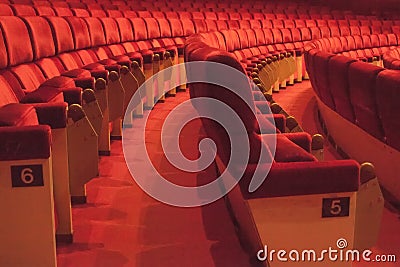 Rows of red cinema seats with number. View of empty theater hall. Comfort chairs in the modern theater interior Stock Photo