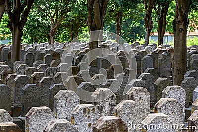 Rows of stone tombstones in a public cemetery Editorial Stock Photo