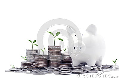 Rows of Thai coins with tree,Baht coins with piggy bank. Save money Concept for business, education and financial investment Stock Photo