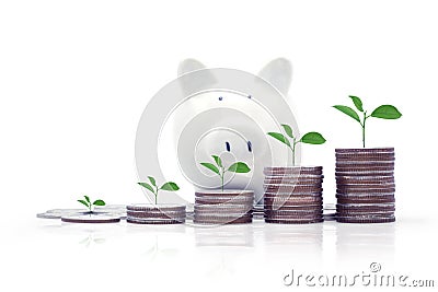 Rows of Thai coins with tree,Baht coins with piggy bank. Save money Concept for business, education and financial investment Stock Photo