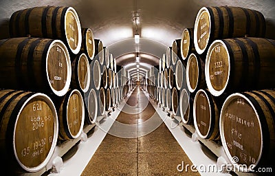Rows of wine barrels in an underground vault Stock Photo
