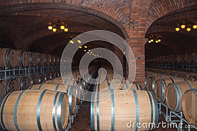 Rows of wood barrels for wine at the Salton Winery Editorial Stock Photo