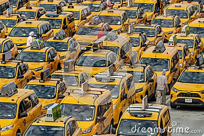 Rows Of Yellow Taxi Cabs Wait To Pick Up Passengers At New Yorks LaGuardia Airport Editorial Stock Photo