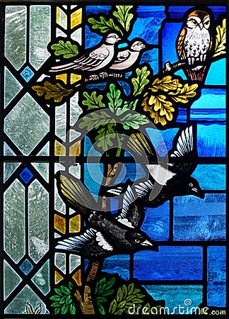 Stained glass window with Doves, Magpies and an Owl and Oak Leaves. Editorial Stock Photo