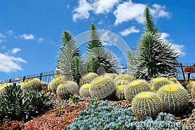 Royal Botanic Gardens Stock Photo