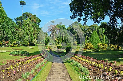 Royal Botanic Gardens, Peradeniya , Kandy , Sri Lanka Stock Photo