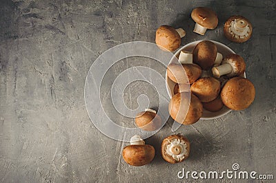 Royal champignons on a gray concrete background. Stock Photo
