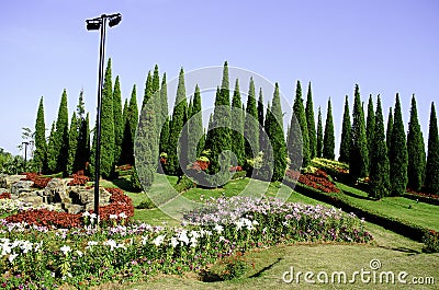 Royal flora 2011 at chiangMai. Stock Photo