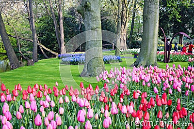 Royal Flower Park KÃ¶kenhof in the Netherlands Holland Stock Photo