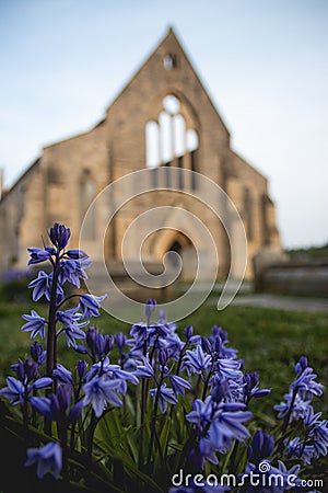 The royal garrison church in old portsmouth with bluebells in the foreground Editorial Stock Photo