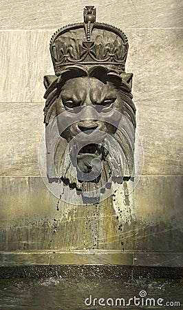 Royal Lion Head Stock Photo