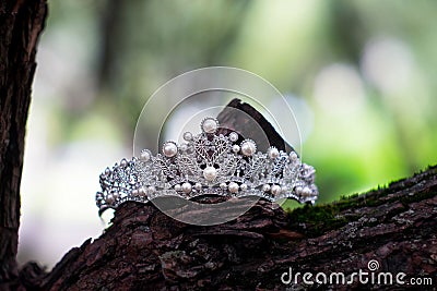 Royal luxury ancient crown, wedding accessories. Jewellery Stock Photo