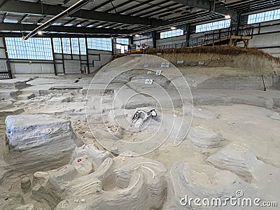 Fossils in the Rhino Barn Ashfall Fossil Beds State Historic Park in Royal, NE Editorial Stock Photo