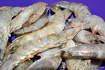 Royal shrimp in a cup. Macro photo. Fresh unprepared delicacy. Stock Photo