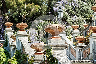 Royal staircase in castle blooming wisteria Stock Photo