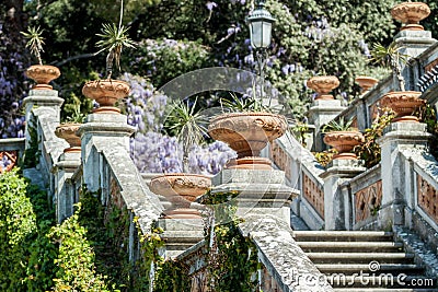 Royal staircase in castle blooming wisteria Stock Photo