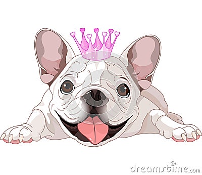 Royalty bulldog Vector Illustration