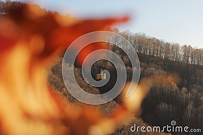 rtistic shot through a dry sheet on the yellow cabin of the cable car against the background of the autumn forest. Top view of the Stock Photo