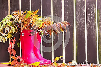 Rubber boots (rainboots) and autumnal leaves are on the wooden empty fence background. Stock Photo