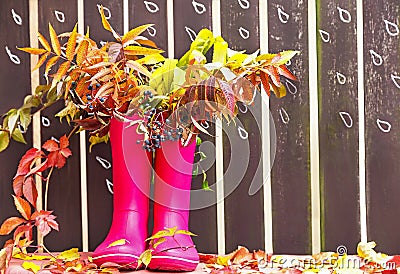 Rubber boots (rainboots) and autumnal leaves are on the wooden fence background with drawing rain drops. Stock Photo