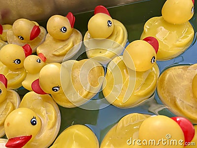 Rubber children ducks swim on the water, there are a lot of they swim one after another, each bright yellow with a red Stock Photo