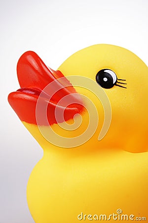 Rubber Duck Stock Photo